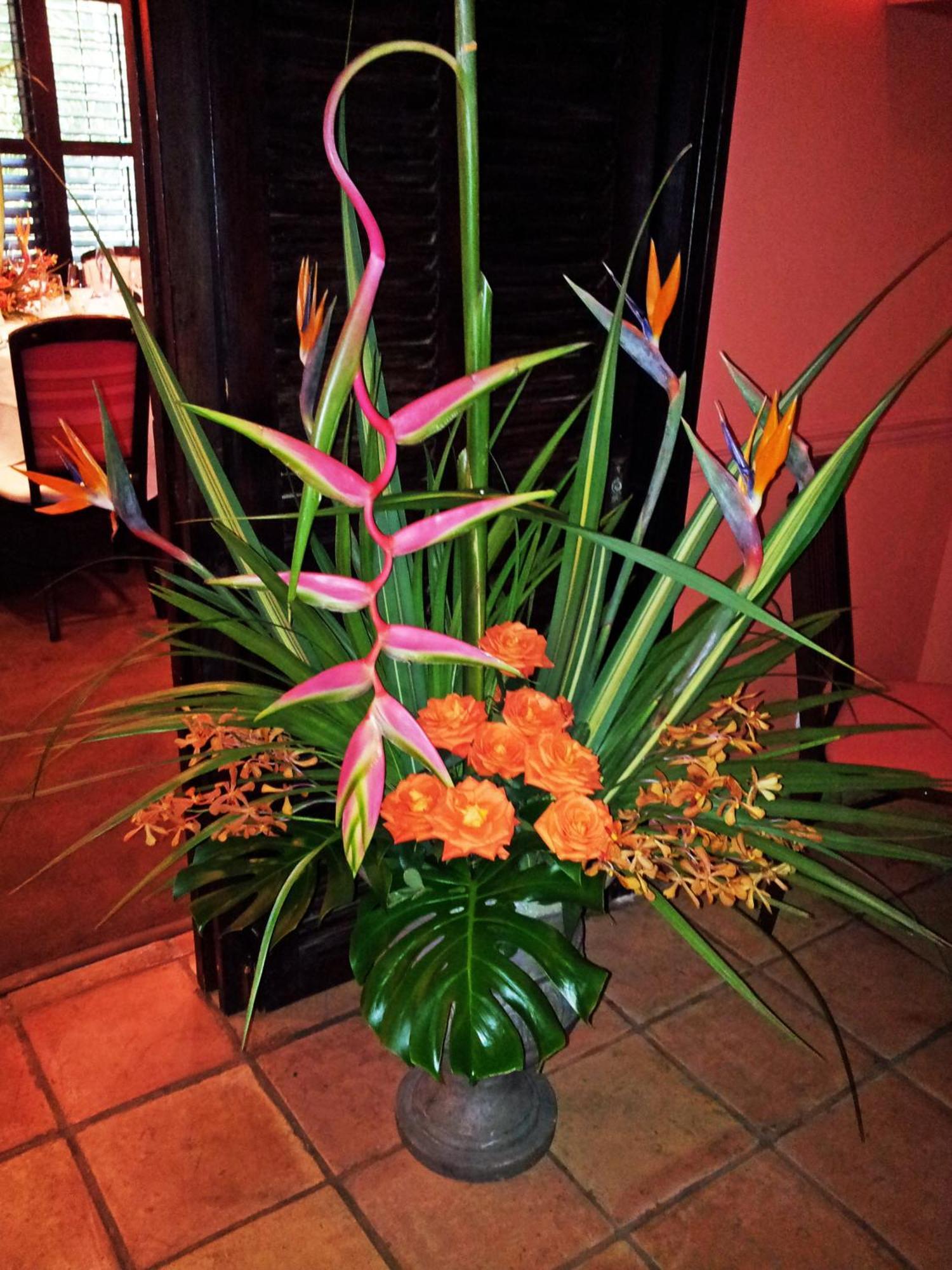 The Caribbean Court Boutique Hotel Vero Beach Rum bild